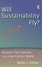 Will Sustainability Fly?: Aviation Fuel Options in a Low-Carbon World