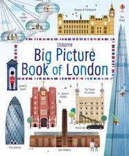 Big Picture Book of London