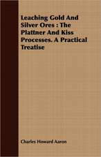 Leaching Gold and Silver Ores: The Plattner and Kiss Processes. a Practical Treatise