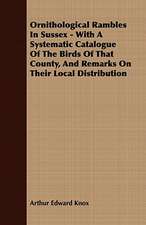 Ornithological Rambles in Sussex - With a Systematic Catalogue of the Birds of That County, and Remarks on Their Local Distribution: Embracing the Elementary Principles of Mechanics, Hydrostatics, Hydraulics, Pneumatics,