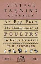 An Egg Farm - The Management of Poultry in Large Numbers: A Story of Rebel Milltary Prisons