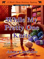 While My Pretty One Knits