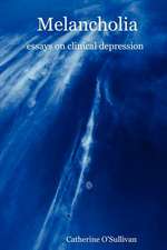 Melancholia: Essays on Clinical Depression