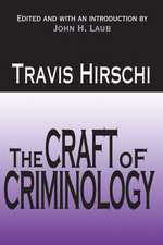 The Craft of Criminology: Selected Papers