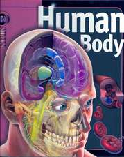 Human Body