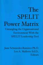 The Spelit Power Matrix: Untangling the Organizational Environment with the Spelit Leadership Tool