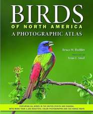 Birds of North America – A Photographic Atlas