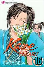 KAZE HIKARU GN VOL 16