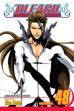 Bleach, Volume 48