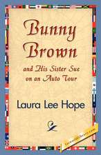 Bunny Brown and His Sister Sue on an Auto Tour