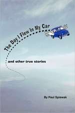 The Day I Flew in My Car & Other Stories