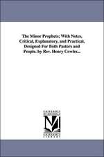 The Minor Prophets; With Notes, Critical, Explanatory, and Practical, Designed For Both Pastors and People. by Rev. Henry Cowles...