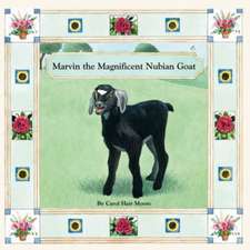 Marvin the Magnificent Nubian Goat