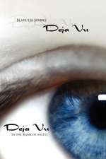 Deja Vu: In the Blink of an Eye