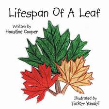 Lifespan of a Leaf