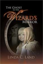 The Ghost in the Wizard's Mirror