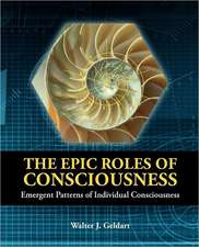 The Epic Roles of Consciousness