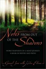 Notes from Out of the Shadows