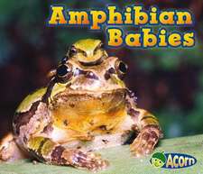 Amphibian Babies