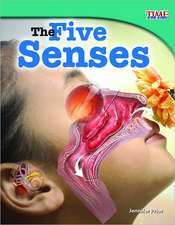 The Five Senses