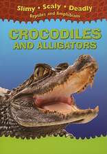 Crocodiles and Alligators