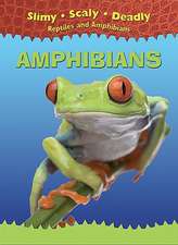 Amphibians