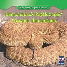 Diamondback Rattlesnake/Cascabel Diamantada