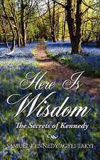 Here Is Wisdom - The Secrets of Kennedy