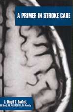 A Primer in Stroke Care