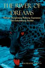 The River of Dreams: Tools for Transforming Ordinary Experiences Into Extraordinary Realities