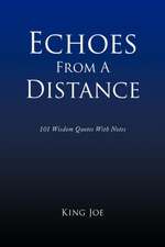 Echoes From A Distance