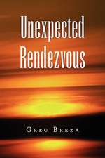 Unexpected Rendezvous