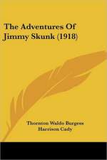 The Adventures Of Jimmy Skunk (1918)