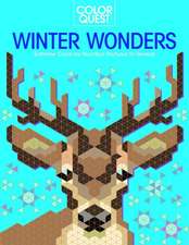 Color Quest: Winter Wonders