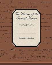 The Nature of the Judicial Process