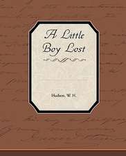 A Little Boy Lost