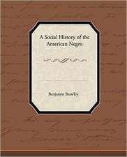 A Social History of the American Negro