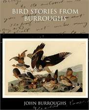 Bird Stories from Burroughs