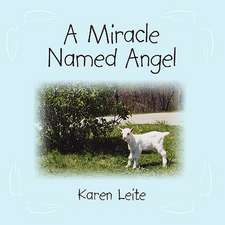 A Miracle Named Angel