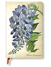 PAINTED BOTANICAL BLOOMING WISTERIA MINI