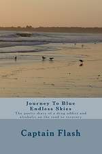 Journey to Blue Endless Skies: The Poetic Diary of a Drug Addict and Alcoholic on the Road to Recovery