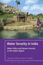 Water Security in India: Hope, Despair, and the Challenges of Human Development