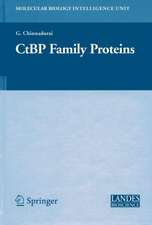 CtBP Family Proteins