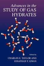 Advances in the Study of Gas Hydrates