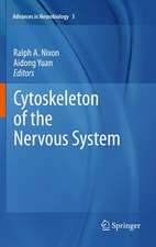 Cytoskeleton of the Nervous System