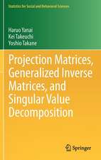 Projection Matrices, Generalized Inverse Matrices, and Singular Value Decomposition