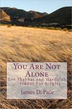 You Are Not Alone: Erv Shabbat to Havdalah ... Siddur for Singles