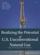 Realizing the Potential of U.S. Unconventional Natural Gas