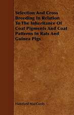 Selection and Cross Breeding in Relation to the Inheritance of Coat Pigments and Coat Patterns in Rats and Guinea Pigs: Its Organization and Administration