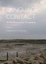 Language Contact: A Multidimensional Perspective